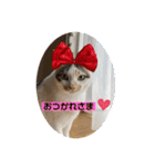 さつきちゃんスタンプ③（個別スタンプ：24）