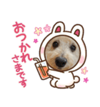 トイプードル♡レオ③（個別スタンプ：4）