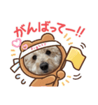 トイプードル♡レオ③（個別スタンプ：17）