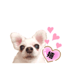 ♡friend♡Part1（個別スタンプ：1）
