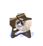 Rita 1267（個別スタンプ：1）