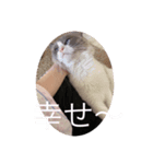 Rita 1267（個別スタンプ：3）