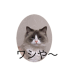 Rita 1267（個別スタンプ：7）