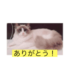 Rita 1267（個別スタンプ：8）