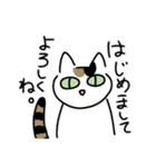 白三毛猫のタマさん。（個別スタンプ：1）