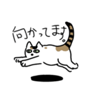 白三毛猫のタマさん。（個別スタンプ：6）