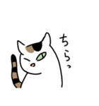 白三毛猫のタマさん。（個別スタンプ：26）