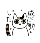 白三毛猫のタマさん。（個別スタンプ：35）