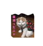 スコニャ独り言（個別スタンプ：4）