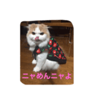 スコニャ独り言（個別スタンプ：5）