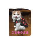 スコニャ独り言（個別スタンプ：7）