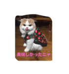 スコニャ独り言（個別スタンプ：8）