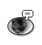 PUMAyouaresodumb（個別スタンプ：3）