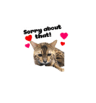 PUMAyouaresodumb（個別スタンプ：8）