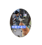 ゆずきらみうスタンプ（個別スタンプ：6）