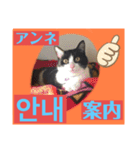 韓国語付き日本語（個別スタンプ：15）