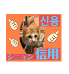 韓国語付き日本語（個別スタンプ：23）