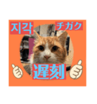 韓国語付き日本語（個別スタンプ：24）