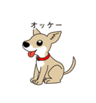 4本足お友達 [柴犬わさび]（個別スタンプ：4）