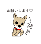 4本足お友達 [柴犬わさび]（個別スタンプ：12）