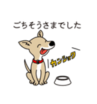 4本足お友達 [柴犬わさび]（個別スタンプ：14）