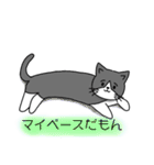 一般的な猫（個別スタンプ：16）