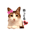 ♡friend♡Part2（個別スタンプ：3）