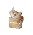 ラガマフィンのちゃあちゃん（個別スタンプ：2）