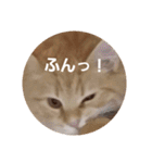 ラガマフィンのちゃあちゃん（個別スタンプ：18）