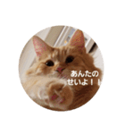 ラガマフィンのちゃあちゃん（個別スタンプ：22）