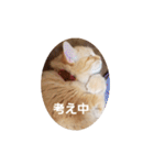 ラガマフィンのちゃあちゃん（個別スタンプ：23）