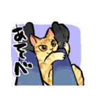 うちの猫と犬 のんびり（個別スタンプ：11）