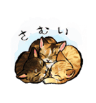 うちの猫と犬 のんびり（個別スタンプ：13）