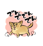 うちの猫と犬 のんびり（個別スタンプ：21）