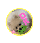 いぬ氏・改（個別スタンプ：6）