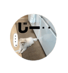 犬氏スタンプ3（個別スタンプ：7）