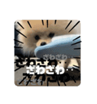 犬氏スタンプ3（個別スタンプ：9）