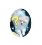犬氏スタンプ3（個別スタンプ：11）