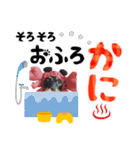 ミニチュアダックスのゆるっとラッキー②（個別スタンプ：11）