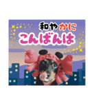 ミニチュアダックスのゆるっとラッキー②（個別スタンプ：18）