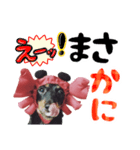 ミニチュアダックスのゆるっとラッキー②（個別スタンプ：34）