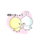 きんちゃくトリ（個別スタンプ：3）