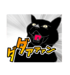 闘う黒猫の擬音語スタンプなど（個別スタンプ：1）