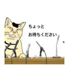 闘う黒猫の擬音語スタンプなど（個別スタンプ：13）