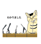 闘う黒猫の擬音語スタンプなど（個別スタンプ：14）