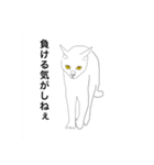 闘う黒猫の擬音語スタンプなど（個別スタンプ：17）