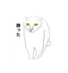 闘う黒猫の擬音語スタンプなど（個別スタンプ：20）