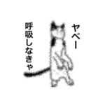 闘う黒猫の擬音語スタンプなど（個別スタンプ：22）