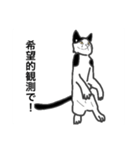 闘う黒猫の擬音語スタンプなど（個別スタンプ：24）