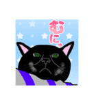 闘う黒猫の擬音語スタンプなど（個別スタンプ：25）